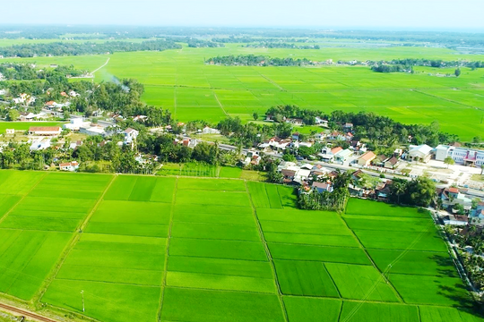 Ưu tiên bảo vệ môi trường sinh thái