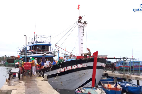 [VIDEO] - Tập trung rà soát, thống kê tàu cá chưa đăng kiểm, đăng ký