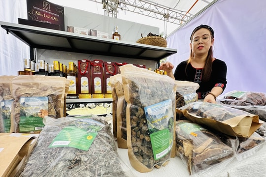 Đa dạng sản phẩm tại hội chợ khởi nghiệp thanh niên miền núi