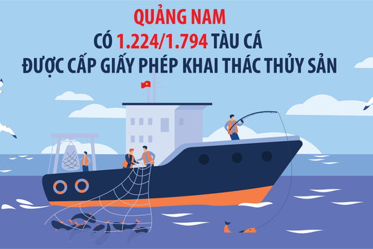 [Infographic] - Quảng Nam có 1.224/1.794 tàu cá được cấp giấy phép khai thác thủy sản