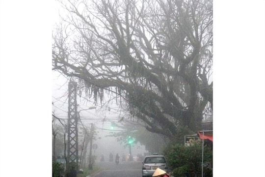 Mưa qua phố nhỏ