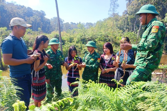 Bộ đội Biên phòng Quảng Nam triển khai đồng bộ, toàn diện công tác biên phòng
