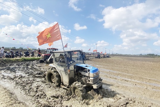 Nông dân Điện Bàn khởi đầu vụ mùa mới