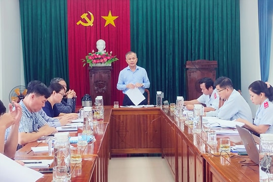 Thanh tra đột xuất dự án trên đất quy hoạch bảo vệ và phát triển rừng ở Núi Thành