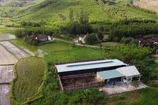 Nuôi hươu lấy nhung làm sản phẩm hướng tới OCOP