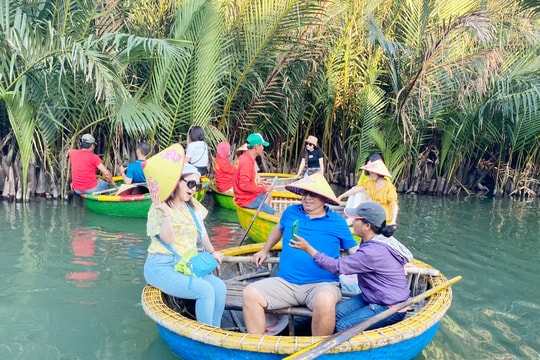 Lúng túng xử lý tiếng ồn tại rừng dừa nước Cẩm Thanh