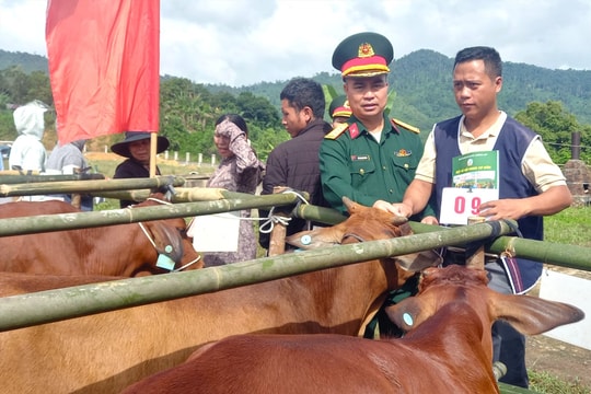 Lo sinh kế cho dân