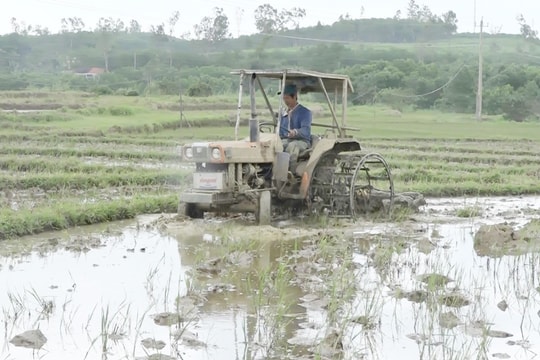 Thăng Bình sẵn sàng cho vụ lúa đông xuân