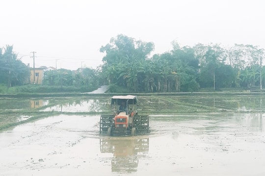 Đảm bảo điều kiện sản xuất lúa đông xuân