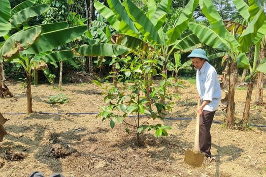 Hơn 22,5 tỷ đồng đầu tư tuyến đường vào khu sản xuất xã Tiên Châu