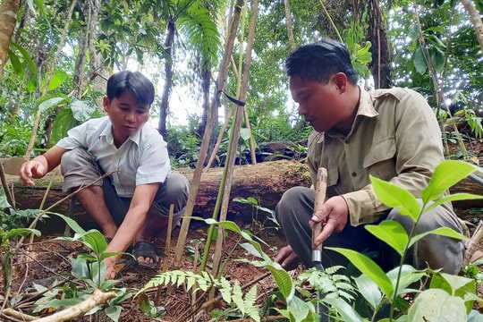 Nam Giang đạt và vượt 18/18 chỉ tiêu phát triển kinh tế - xã hội