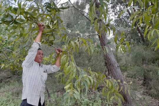Tăng cường sự lãnh đạo của Đảng đối với công tác quản lý, bảo vệ và phát triển rừng