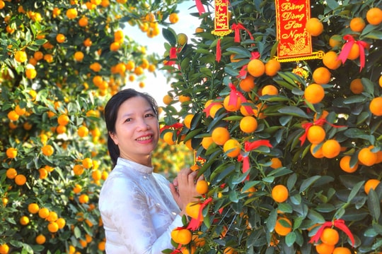 Rộn ràng Ngày hội quật cảnh Cẩm Hà