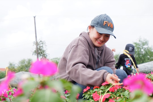 Chộn rộn sản xuất mùa tết