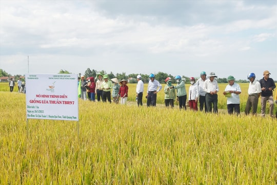 Quế Sơn đẩy mạnh tái cơ cấu nông nghiệp