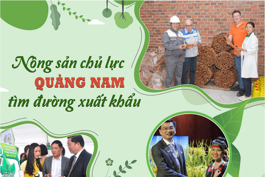 Nông sản chủ lực Quảng Nam tìm đường xuất khẩu