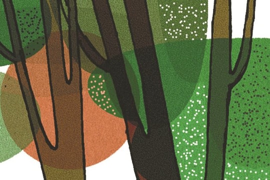 Bàn tay đợi nắng