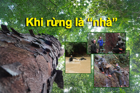 Khi rừng là “nhà”