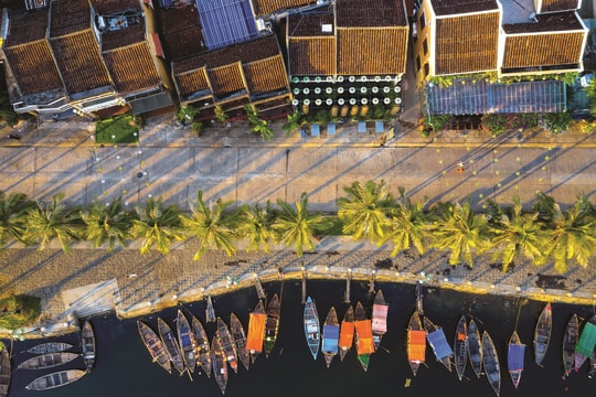 Ký ức từ một dáng đi