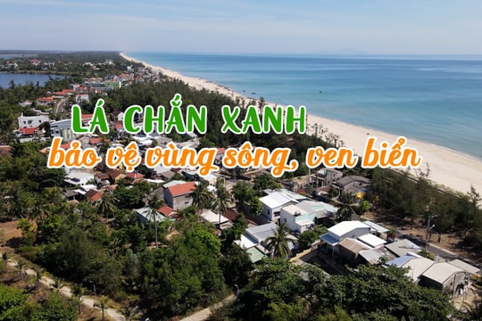 Lá chắn xanh bảo vệ vùng sông, ven biển