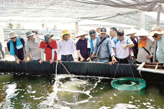 Thủy sản xanh: Giảm khai thác, tăng nuôi trồng