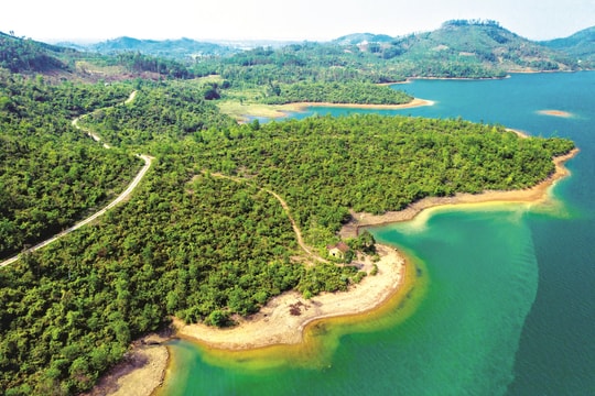 Nguồn tài chính từ rừng