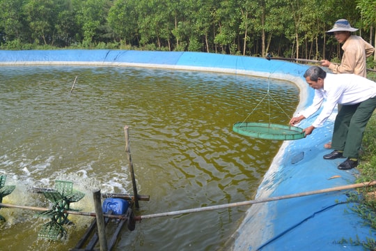 Người nuôi thủy sản bắt đầu thả giống vụ mới