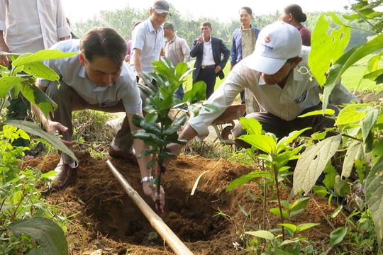 Hội Nông dân huyện Tiên Phước phát động "Tết trồng cây, đời đời nhớ ơn Bác Hồ"
