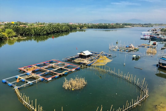 Giao các đơn vị tiếp nhận, quản lý, vận hành dự án Nạo vét, thoát lũ khẩn cấp và chống xâm nhập mặn sông Cổ Cò