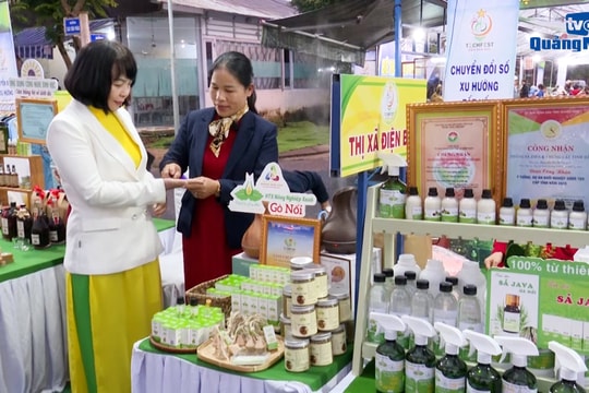 Cô giáo dạy sinh ở Gò Nổi khởi nghiệp với tinh dầu sả