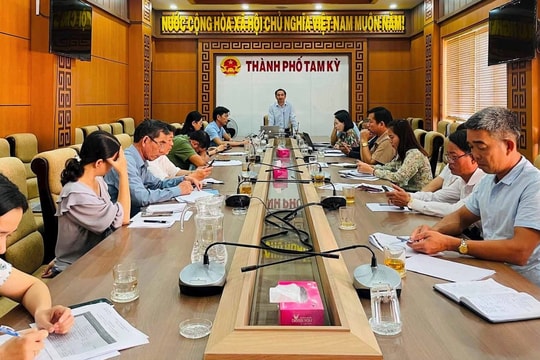 Tháng 4/2024 diễn ra lễ hội "Tam Kỳ - Mùa hoa sưa"