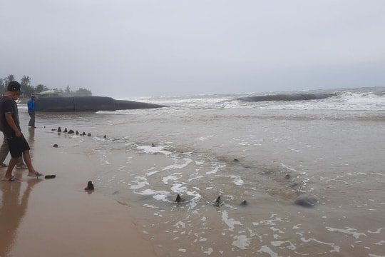 Khu vực hiện vật nghi tàu cổ đắm ở Hội An: Gấp rút tổ chức khai quật