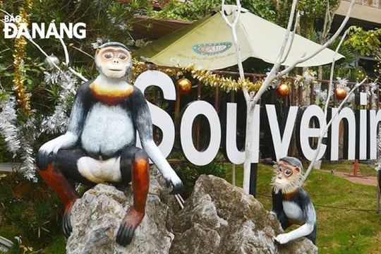 Nơi gặp gỡ những người yêu voọc chà vá chân nâu