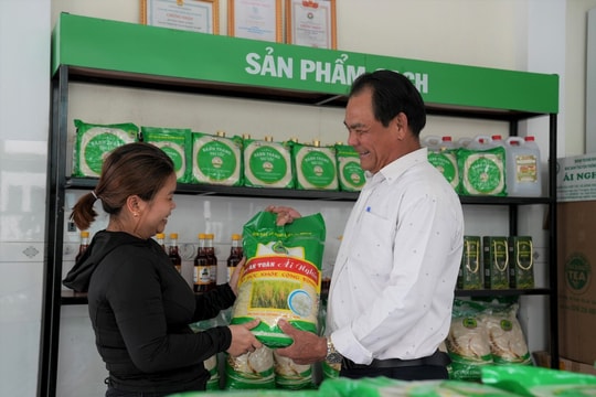 Đại Lộc phát triển OCOP gắn với vùng nguyên liệu