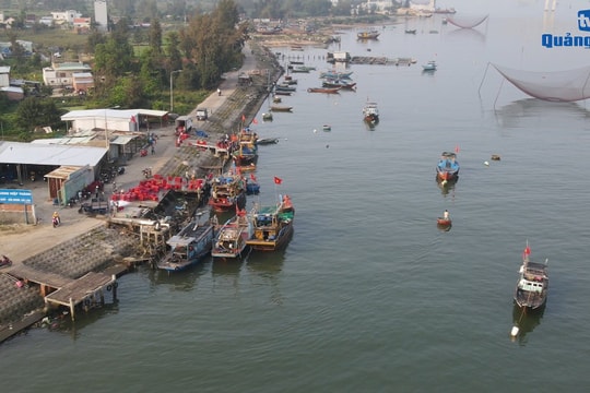 Niềm vui được mùa biển ngang