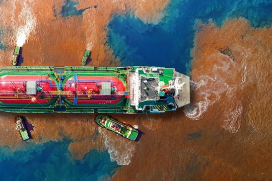 Châu Âu mạnh tay với tội phạm môi trường