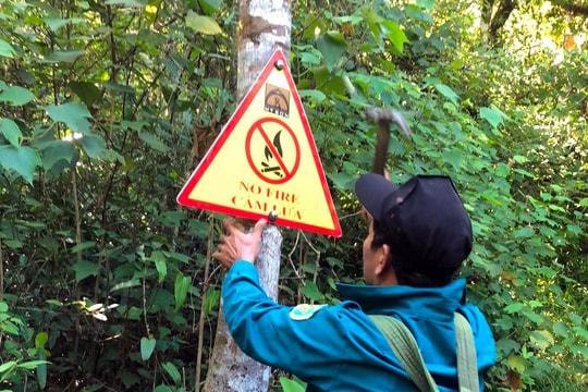 Bảo vệ rừng cảnh quan Mỹ Sơn