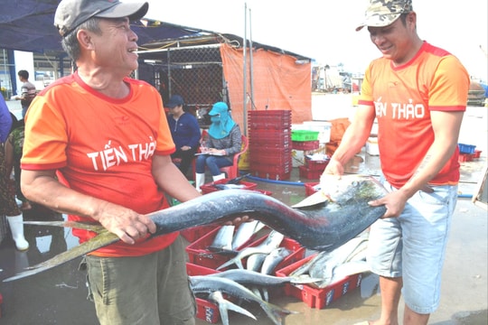 Ngư dân Núi Thành vào mùa biển mới