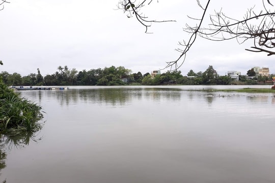 Giảm dấu chân carbon - hướng tới net zero