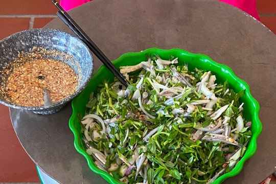 Thưởng thức gỏi cá cơm ở làng Tân An