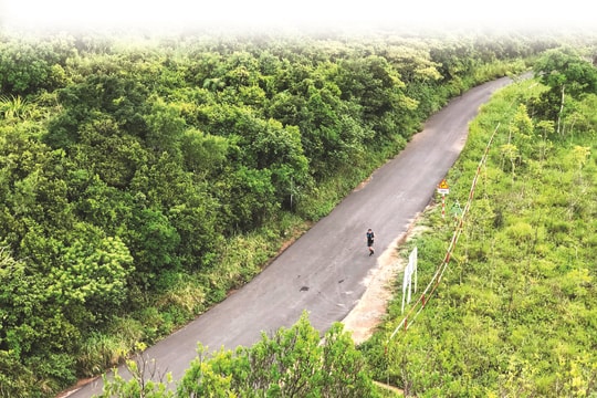 Du xuân tháng Giêng, xuống biển lên rừng