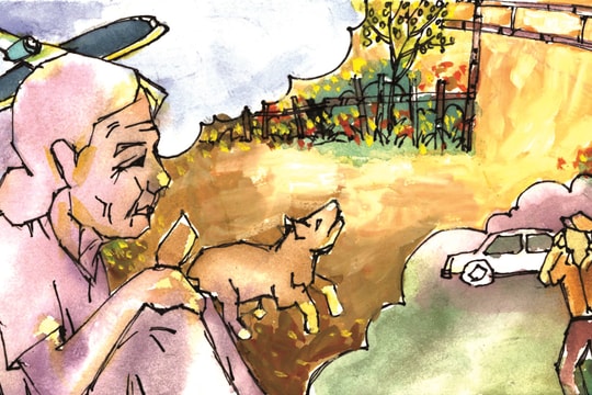 Thềm xuân có ngoại ngồi chờ