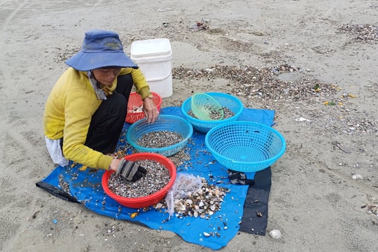 Mùa cào ốc ruốc