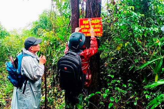 Duy Xuyên tập huấn nâng cao nghiệp vụ quản lý, bảo vệ rừng