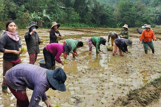 Phụ nữ vùng biên giới Quảng Nam góp công giúp người khó khăn