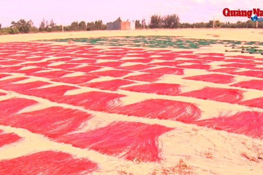 Làng chiếu Bàn Thạch