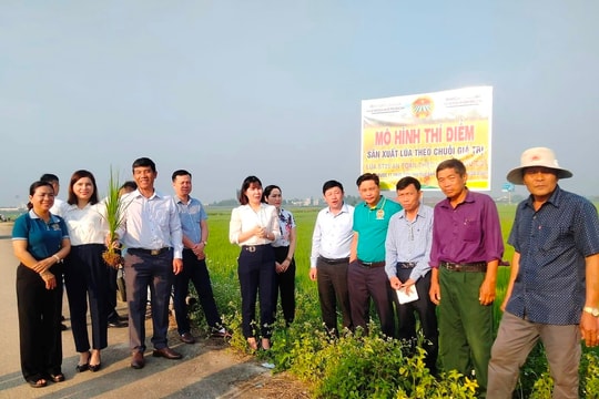 Điện Bàn: Hiệu quả mô hình chi, tổ hội nghề nghiệp nông dân