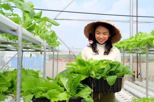 Đường dài cho nông nghiệp bền vững