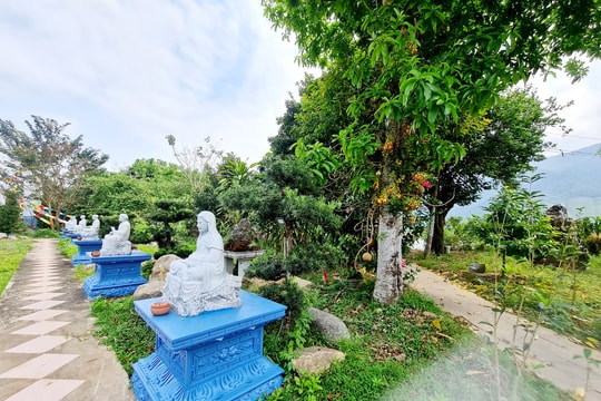 Vãng cảnh chùa Hà Tân