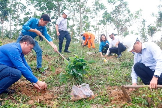 Đoàn Thanh niên Tổng Công ty Điện lực miền Trung và PC Quảng Nam trồng cây gây rừng tại xã Trà Tân